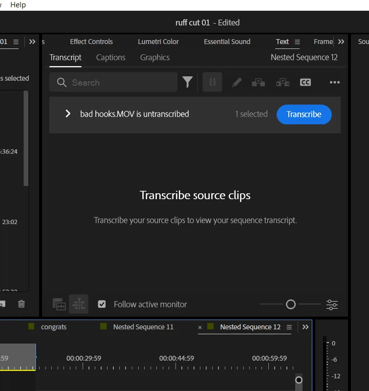 The Text panel with the Transcript tab active and the Captions tab beside it, one source clip waiting on the Transcribe button